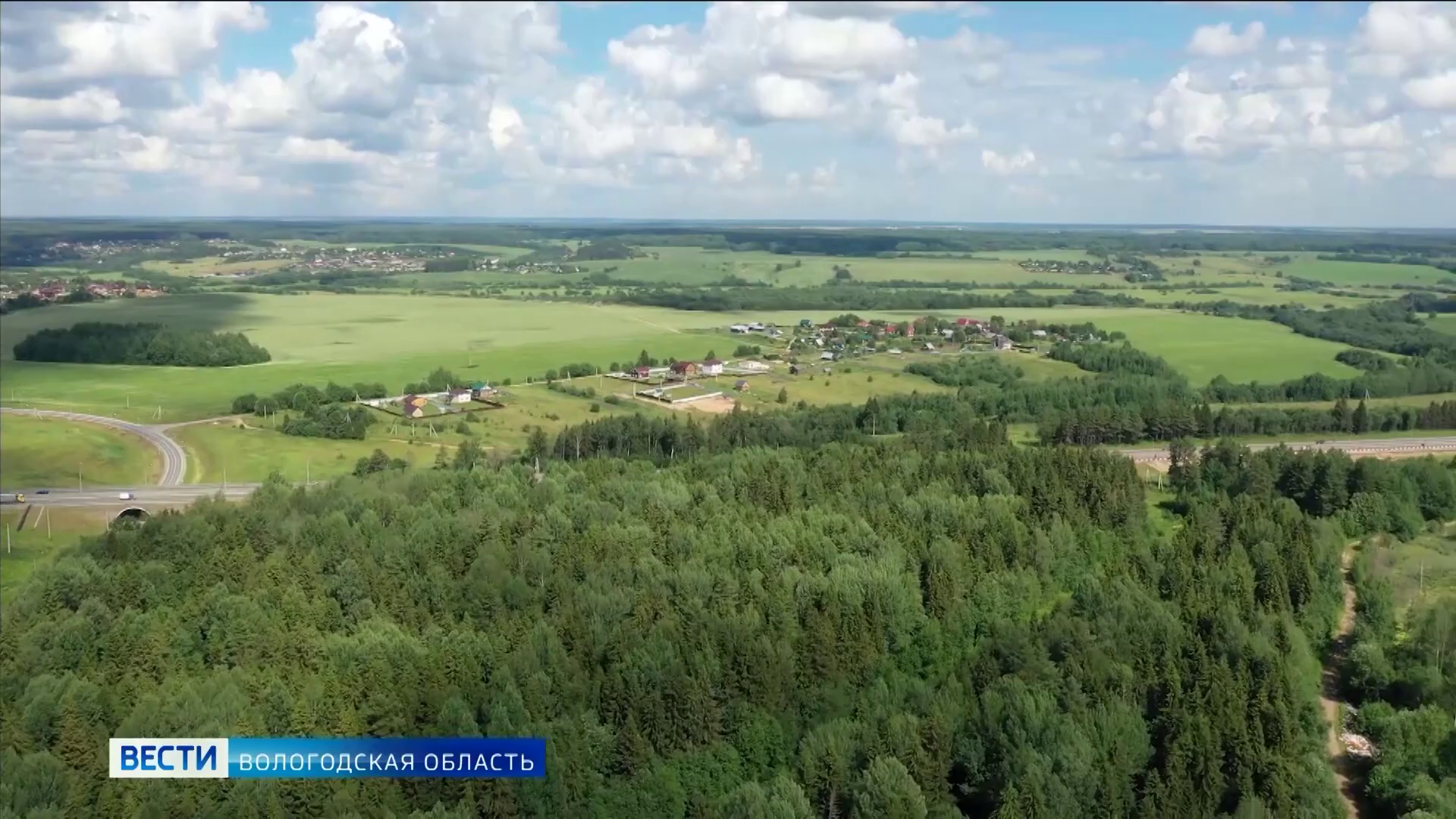 Лесопожарная обстановка в Вологодской области продолжает оставаться  спокойной